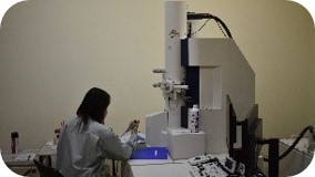 園芸環境部4