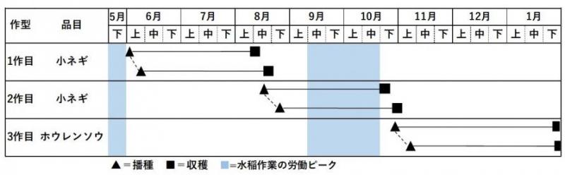 宮城県における小ネギ2作+ホウレンソウの年3作体系