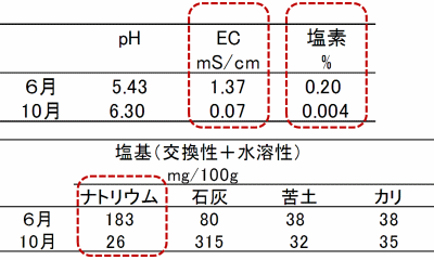 生育良好なイチゴ圃場の表