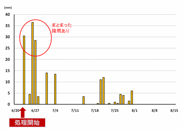 降水量のグラフ