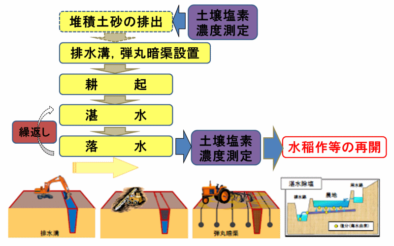 縦浸透法による除塩のフロー