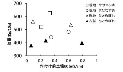 現地ほ場および枠試験における収量と作付け前土壌ECグラフ