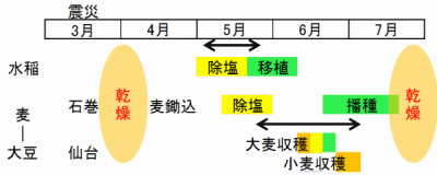 除塩作業時期と農作業