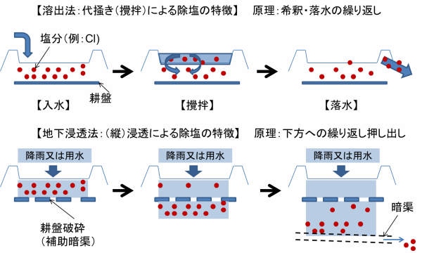 除塩としての溶出法と地下浸透法