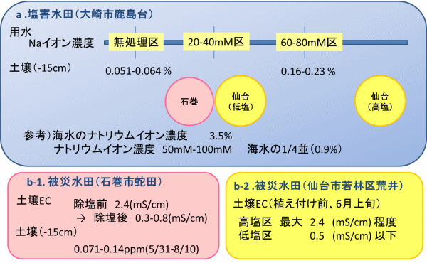 塩害水田と被災水田の塩濃度比較