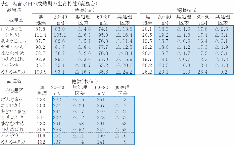 成熟期の生育特性