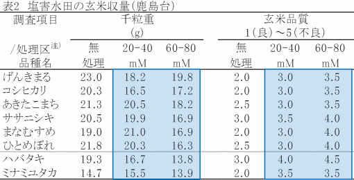 千粒重と玄米品質