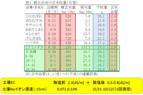 被災水田の玄米収量