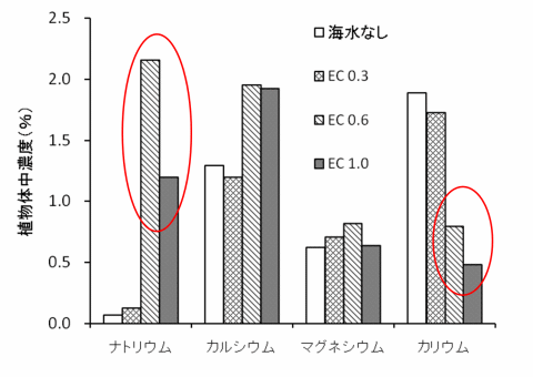 塩害土壌がイチゴの茎葉中の成分に及ぼす影響（砂質土）グラフ