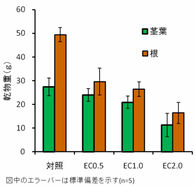 塩害土壌がアスパラガスの乾物重に及ぼす影響グラフ