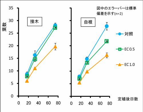 塩害土壌がキュウリの葉数に及ぼす影響グラフ