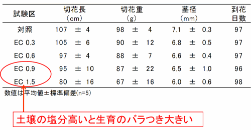 キク（深志の匠）の生育および品質表