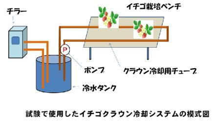 試験で使用したイチゴクラン冷却システムの模式図