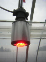 赤色電球型LEDランプ