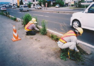 除草作業の状況写真2です