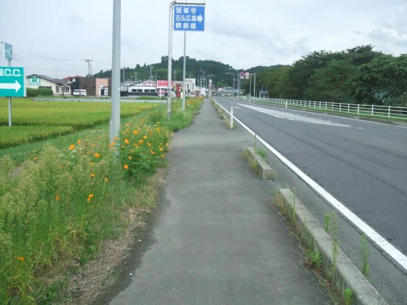 天平花の会活動箇所の様子