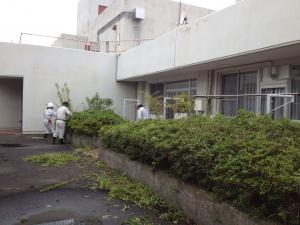 造園科校外実習作業2