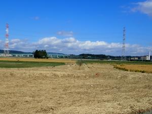 多賀城地区15日時点