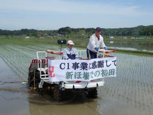 田植えの様子2