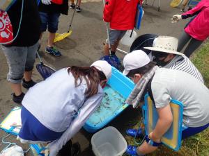 水槽の中を見つめる小学生の様子