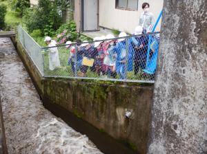 水路の水の強い流れを見学する児童の様子