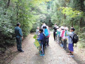 松島町の森林での自然観察会