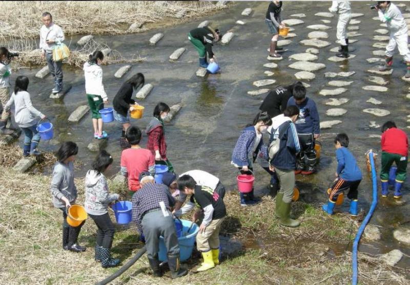 鮭の放流している写真