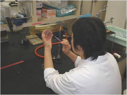 微生物学的検査の様子の写真