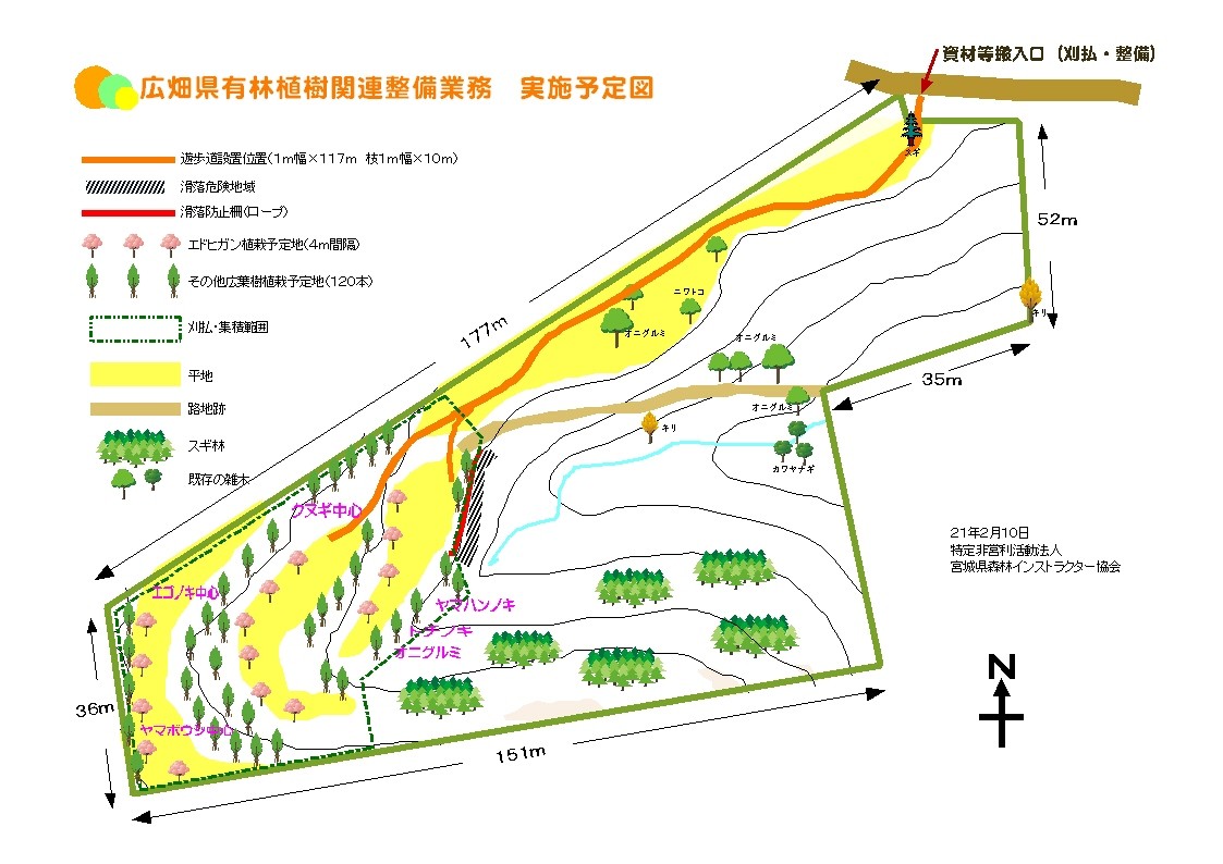 とうはつの森の図