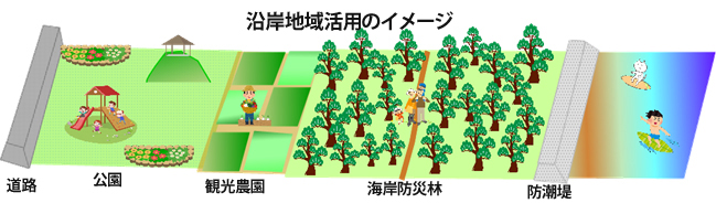 海岸防災林活用のイメージ