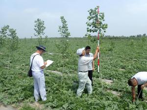 平成29年7月に行われた活着調査の状況の写真