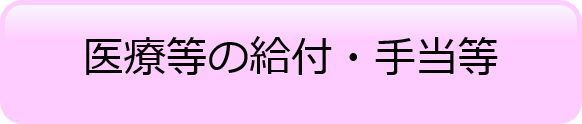 医療等の給付・手当等