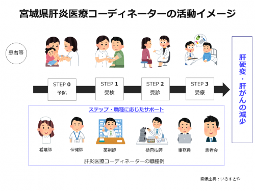 宮城県肝炎医療コーディネーターの活動イメージ