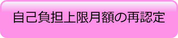 自己負担上限月額再認定