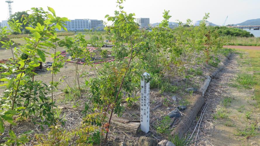 ishinomaki_nakasekoen1