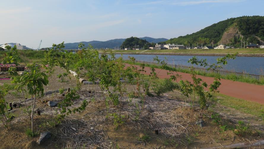 ishinomaki_nakasekoen2