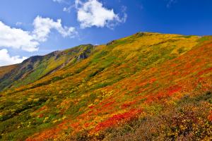 錦秋の栗駒山