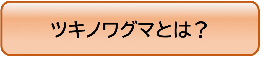 ツキノワグマとは？
