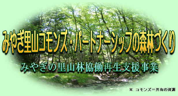 みやぎの里山林協働再生支援事業