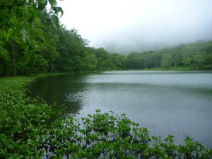 魚取沼（夏）