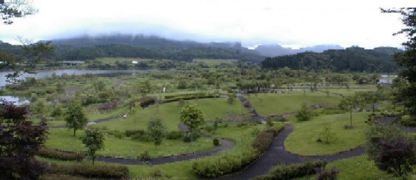 立輪水辺公園全景写真です