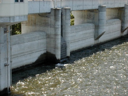 ダム湖側から見た洪水吐の写真です