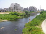 七北田川（友愛緑地付近）の写真です
