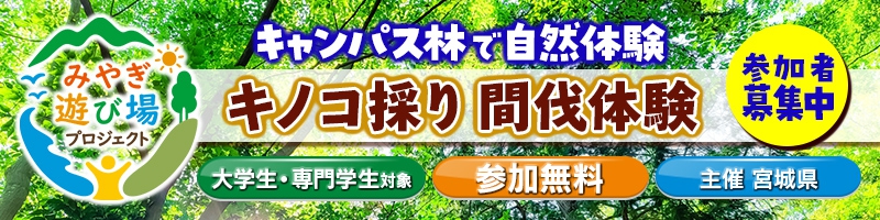 banner_kinoko