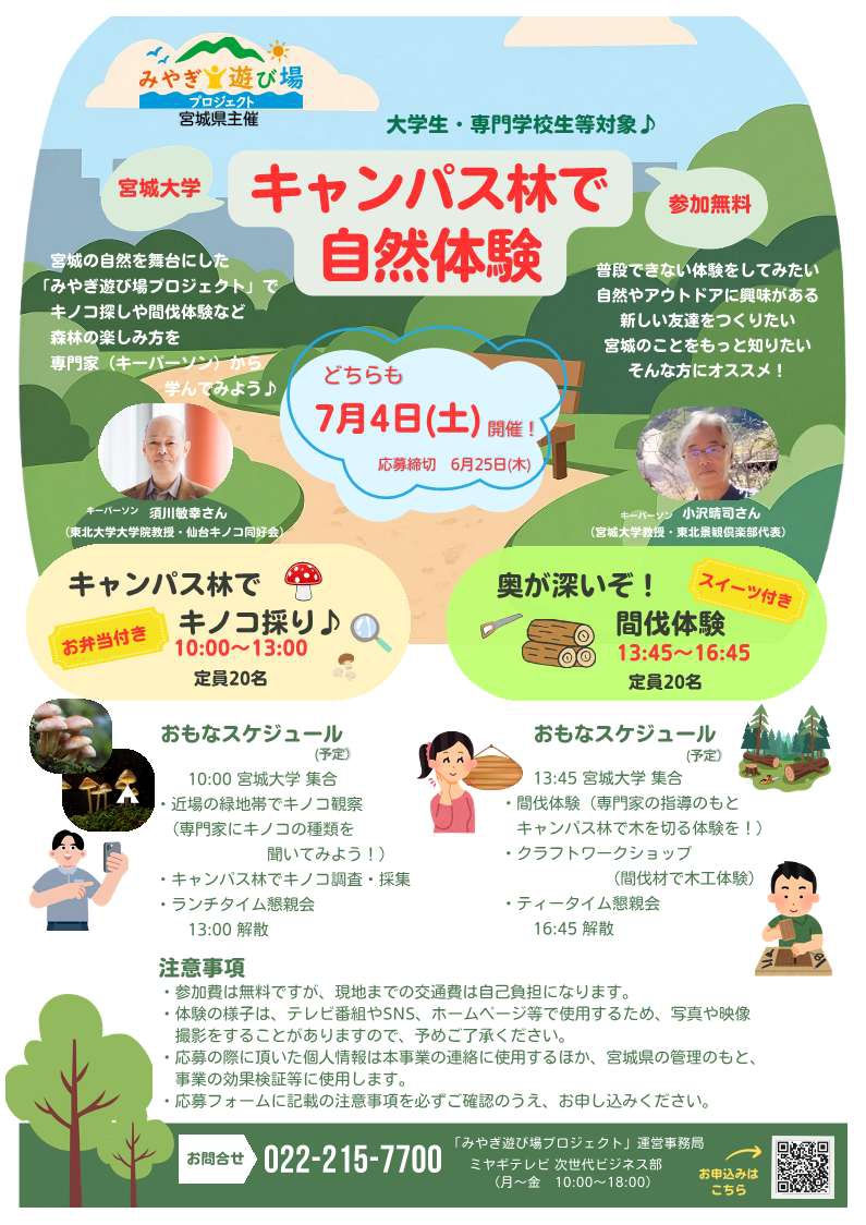 flier_kinoko_2