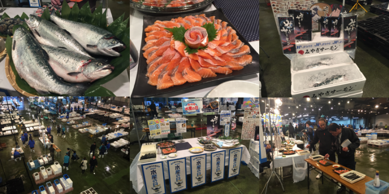 仙台市中央卸売市場でのみやぎサーモン試食会の写真