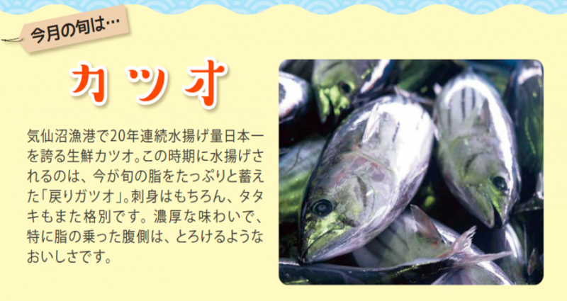 みやぎ水産の日の9月のおすすめはカツオ