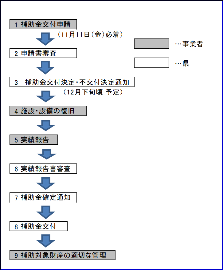 スケジュール