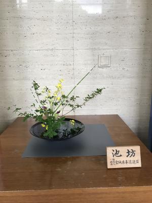 生け花写真12