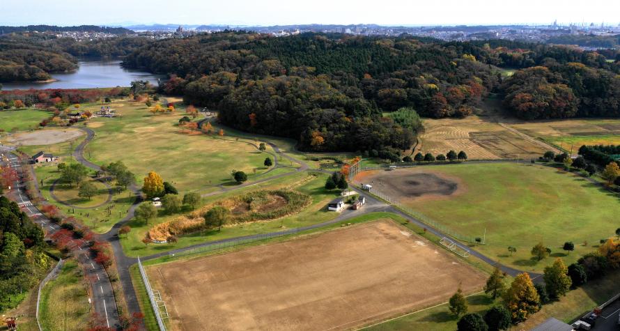 公園全景